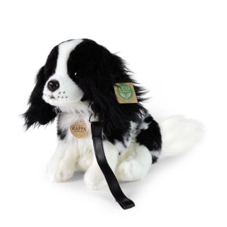 Plyšový pes King Charles španěl s vodítkem 27 cm ECO-FRIENDLY